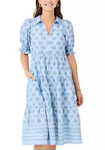 Molly Blue Blossom Dress